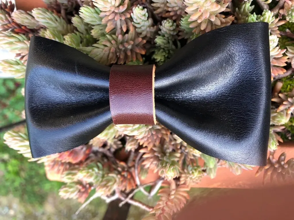 Noeud papillon noir et marron